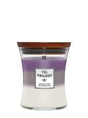 WoodWick ароматическая свеча Trilogy Amethyst Sky 275 г цена и информация | Свечи, подсвечники | hansapost.ee