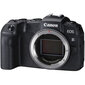 Canon EOS RP Body hind ja info | Fotoaparaadid | hansapost.ee