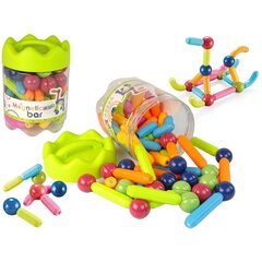 Magnetkonstruktor Lean Toys XL, 64 osa цена и информация | Конструкторы и кубики | hansapost.ee