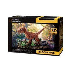 3D pusle Cubic Fun National Geographic Velociraptor, 63 osa. hind ja info | Klotsid ja konstruktorid | hansapost.ee