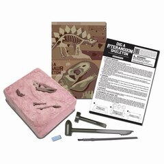 Arheoloogia kaevamiskomplekt 4M Pteranodon hind ja info | Arendavad laste mänguasjad | hansapost.ee