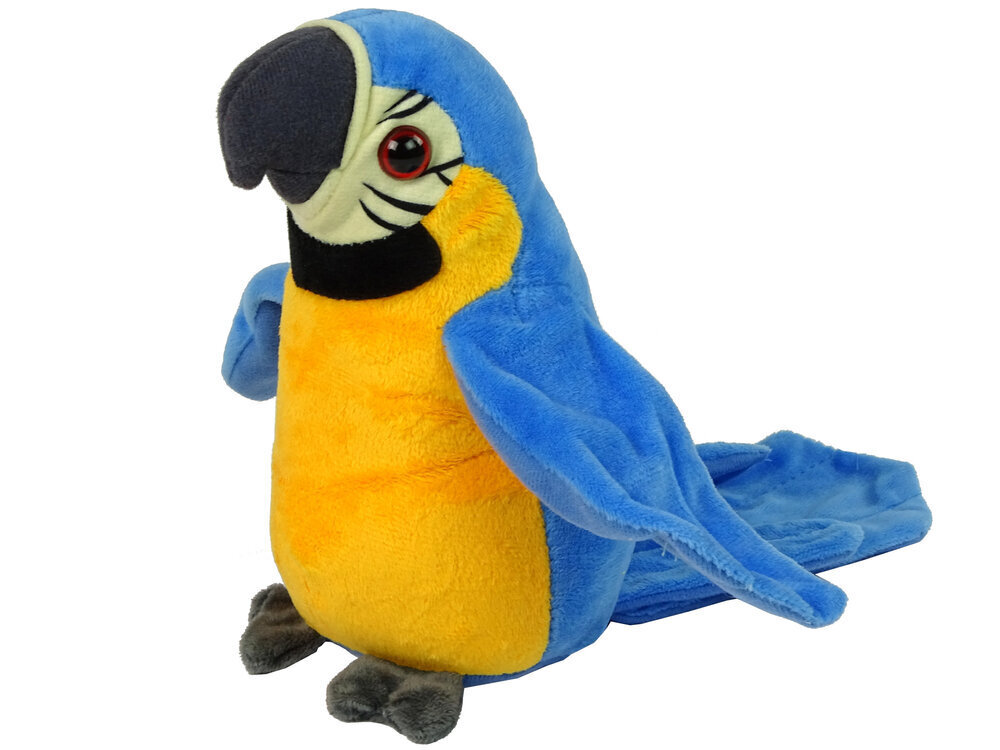 Interaktiivne rääkiv papagoi Lean Toys цена и информация |  Pehmed mänguasjad ja kaisukad | hansapost.ee