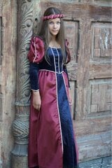 Костюм средневековой принцессы, 2 части цена и информация | Костюмы и маски | hansapost.ee