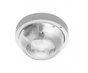 Потолочный светильник GTV IBIZA, max 40W E27, IP44, белый OS-IBBL060-00 цена и информация | Потолочные светильники | hansapost.ee