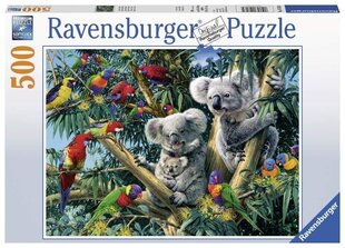 Pusle Ravensburger Koaalad puul, 500-osaline, 14826 hind ja info | Pusled lastele ja täiskasvanutele | hansapost.ee