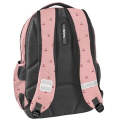Школьный рюкзак Paso BeUniq Cherry, 18L цена и информация | Школьные рюкзаки, спортивные сумки | hansapost.ee