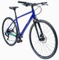 Jalgratas Vaast 2019 U/1 STREET 700C L 51cm GLS, sinine цена и информация | Jalgrattad | hansapost.ee