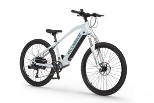 Электровелосипед Ecobike SX Youth White 14", 2023, белый цвет цена и информация | Электровелосипеды | hansapost.ee