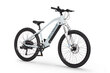 Elektrijalgratas Ecobike SX Youth White 14", 2023, valge hind ja info | Elektrijalgrattad | hansapost.ee