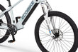 Elektrijalgratas Ecobike SX Youth White 14", 2023, valge hind ja info | Elektrijalgrattad | hansapost.ee