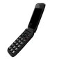 eSTAR Digni Flip Dual SIM Black (DIGNIFLIPB) hind ja info | Telefonid | hansapost.ee