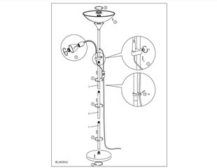 Põrandavalgusti Eglo UP2 hind ja info | Põrandalambid | hansapost.ee