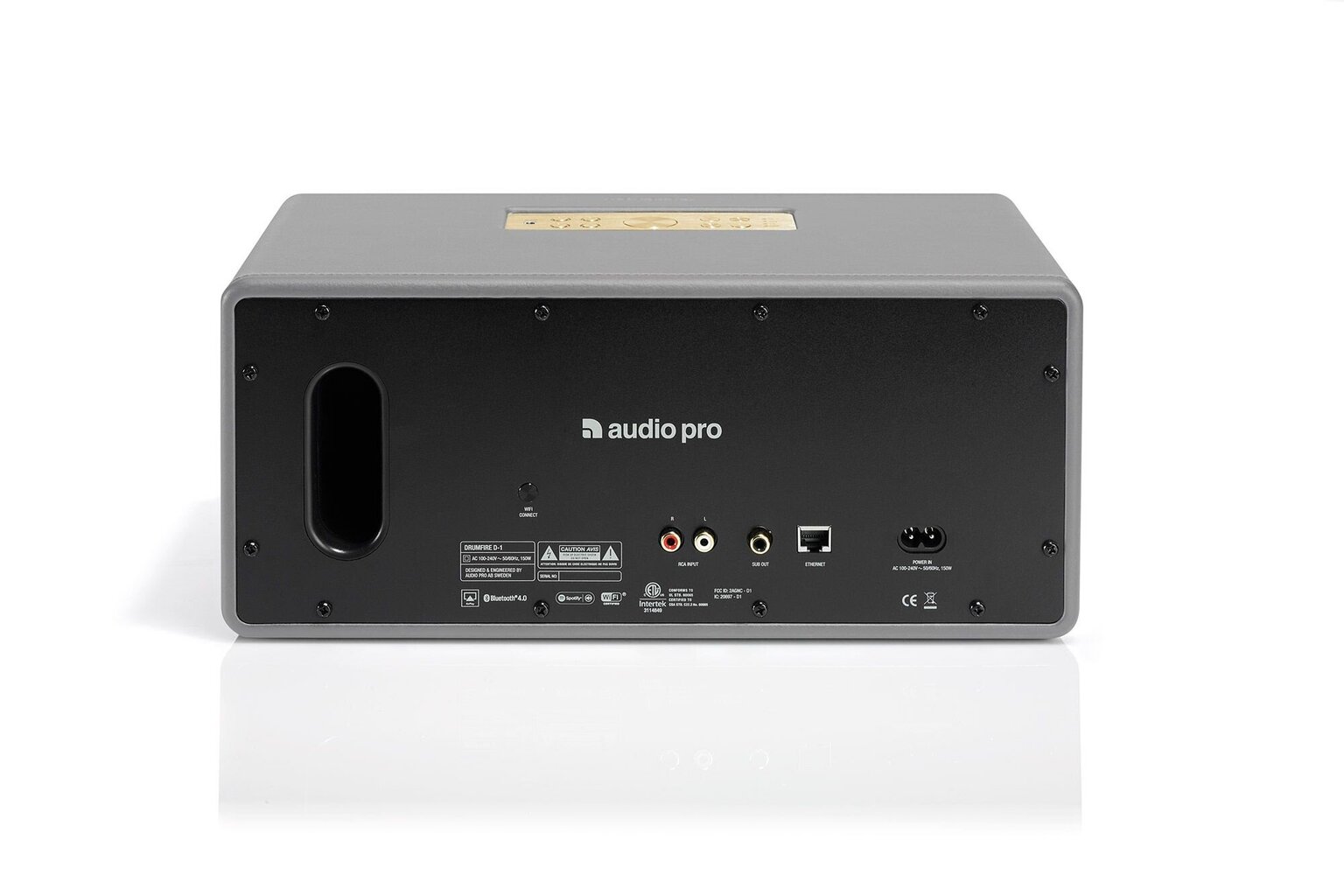 Audio Pro Drumfire D-1, hall hind ja info | Kõlarid | hansapost.ee