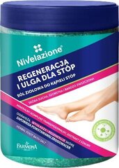 Травяная соль для ванн для ног Farmona Nivelazione Feet, 600 г цена и информация | Масла, гели для душа | hansapost.ee