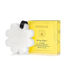 Губка для тела, пропитанная гелем для душа Spongelle White Flower Honey Blossom, 85 г цена и информация | Масла, гели для душа | hansapost.ee