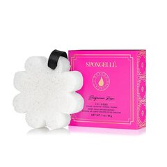 Губка для тела, пропитанная гелем для душа Spongelle White Flower Bulgarian Rose, 85 г цена и информация | Масла, гели для душа | hansapost.ee