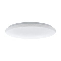 Laevalgusti Eglo Ean price and information | Ceiling lamps | hansapost.ee