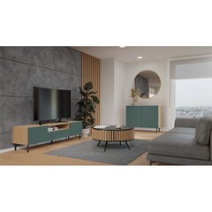 ТВ столик Top E Shop Kama, зеленый цвет цена и информация | Top E Shop Мебель и домашний интерьер | hansapost.ee