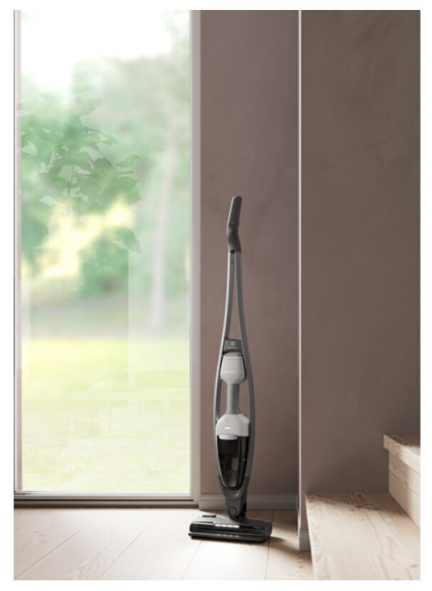 Electrolux 600 Series ES62HB25UV hind ja info | Varstolmuimejad | hansapost.ee