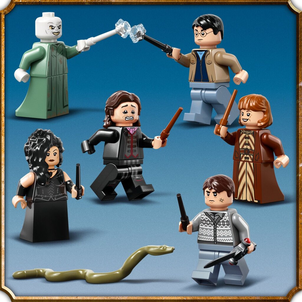 76415 LEGO® Harry Potter Sigatüügas: цена и информация | Klotsid ja konstruktorid | hansapost.ee