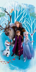 Laste rätik Frozen, 70x140 cm hind ja info | Disney Voodipesu ja kodutekstiil | hansapost.ee
