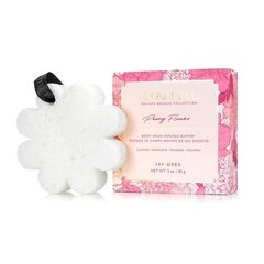 Kehakäsn, rikastatud dušigeeliga Spongelle White Flower Peony Flower White, 85 g цена и информация | Масла, гели для душа | hansapost.ee