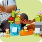 10997 LEGO® DUPLO laagri seiklus цена и информация | Klotsid ja konstruktorid | hansapost.ee