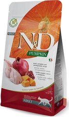 Сухой корм для кошек с курицей Farmina Pet Food N&D Pumpkin feline Adult 1,5 кг цена и информация | Сухой корм для кошек | hansapost.ee