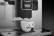 Gaggia Accademia RI9782/01 цена и информация | Kohvimasinad ja espressomasinad | hansapost.ee