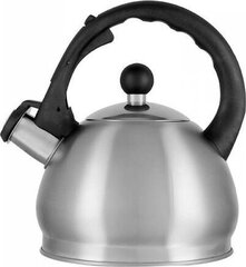 AURORA AU620 price and information | Teapots, coffee pots, water teapots | hansapost.ee