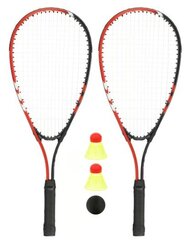 Speedbadminton set AVENTO 46BL Red/Grey цена и информация | Бадминтон | hansapost.ee