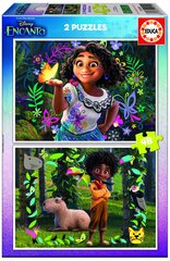 Pusle Educa Disney Encanto, 2x48 tükki цена и информация | Пазлы | hansapost.ee