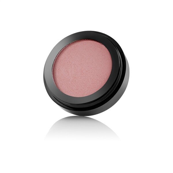 Põsepuna argaaniaõliga Paese Blush With Argan Oil 41, 5g цена и информация | Päikesepuudrid ja põsepunad | hansapost.ee