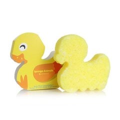 Käsn, rikastatud dušigeeliga Spongelle Animal Kids Duck price and information | Shower gels, oils | hansapost.ee