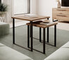2-diivanilaua komplekt ADRK Furniture Aria, pruun цена и информация | Diivanilauad | hansapost.ee
