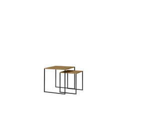 Набор из 2 журнальных столиков ADRK Furniture Aria, коричневый цвет цена и информация | Журнальные столики | hansapost.ee