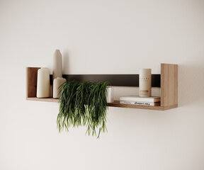 Seinariiul ADRK Furniture Aria, pruun/must цена и информация | Полки | hansapost.ee