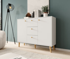 Комод ADRK Furniture Besa 2D3S, белый/коричневый цвет цена и информация | Комоды | hansapost.ee