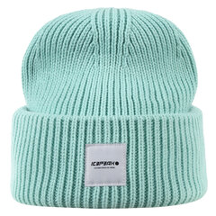 Шапка Icepeak HANAMAULU, мятно-зеленый цвет цена и информация | Женские шапки | hansapost.ee