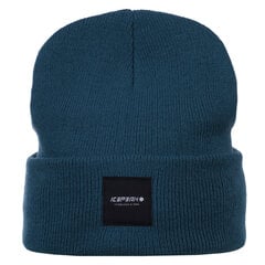 Icepeak müts HARCOURT, mereroheline цена и информация | Мужские шарфы, шапки, перчатки | hansapost.ee