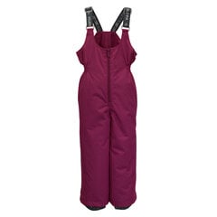 Детские зимние штанишки Huppa FLINN, 100г, бордовый цвет цена и информация | Зимняя одежда для детей | hansapost.ee