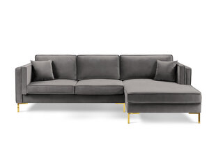 Правый угловой диван Luis 5, светло-серый/золотой цвет цена и информация | Диваны | hansapost.ee