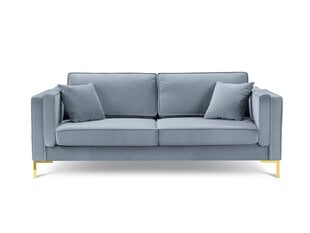 Четырехместный диван Luis 4, голубой/золотой цвет цена и информация | Диваны | hansapost.ee