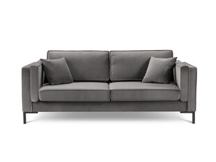 Трехместный диван Luis 3, светло-серый/черный цвет цена и информация | Диваны | hansapost.ee