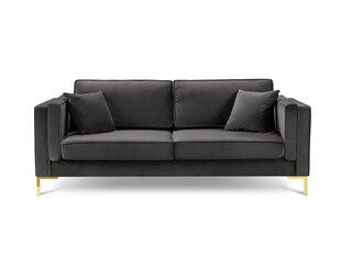 Kolmekohaline diivan Luis 3, tumehall/kuldne price and information | Sofa beds and sofas | hansapost.ee