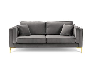 Трехместный диван Luis 3, светло-серый/золотой цвет цена и информация | Диваны | hansapost.ee