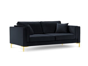 Трехместный диван Luis 3, темно-синий/золотой цвет цена и информация | Диваны | hansapost.ee