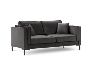 Двухместный диван Luis 2, темно-серый/черный цвет цена и информация | Диваны | hansapost.ee