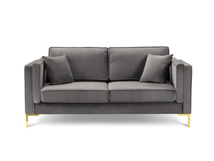 Kahekohaline diivan Luis 2, helehall/kuldne price and information | Sofa beds and sofas | hansapost.ee