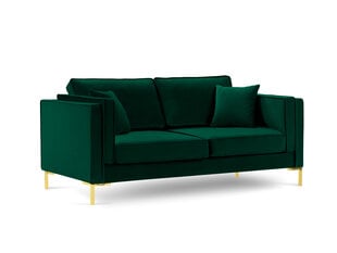 Двухместный диван Luis 2, зеленый/золотой цвет цена и информация | Диваны | hansapost.ee